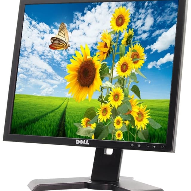 Dell 1908FP 19 inch LCD 1080p Resolution